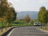 IMG_0254_640.JPG