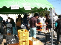 sanfuren001.jpg