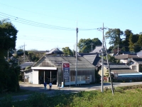 musen01.jpg