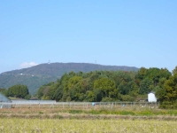1113-01.jpg