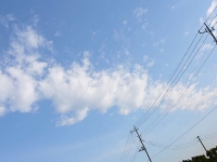 kumo071101.jpg