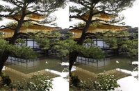 3D-KINKAKU.JPG