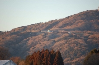 yama203.jpg
