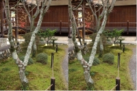 3D-6.JPG