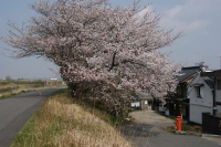 A350 005_800.jpg
