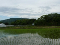 yama01.jpg