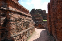 DSC_0751kabe.jpg