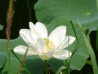 P1080722_R3.jpg