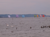 PB090216_1024.jpg