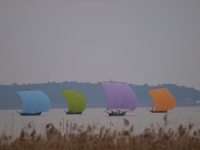 PB090267_1024.jpg