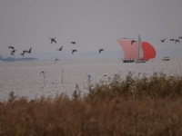PB090277_1024.jpg