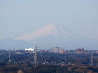 fuji001.jpg