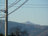 g003.jpg