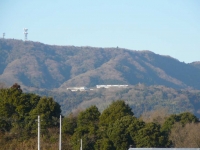 g005.jpg