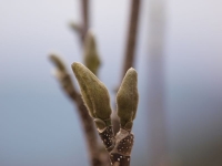P3132084-3.jpg