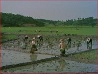 米３キャプチャ.JPG