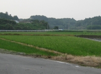 米3IMG_0602B.JPG
