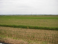 IMG_0878B.JPG