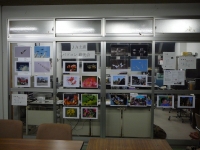 P1150635-2.jpg