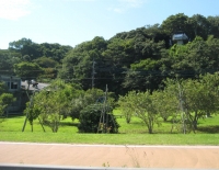 米１１IMG_0795B.JPG