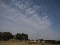 _A213647-2.jpg