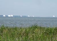 Img_0790B.jpg