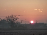 tz7_2009-2010_0103 013_1024.jpg
