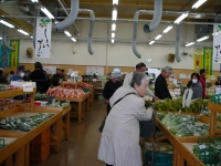 P1160438-3.jpg