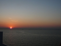 P1160477-3.jpg