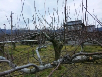 SH3D0063.jpg