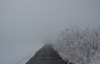 C2141624-2.jpg