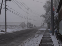 C2141610-2.jpg