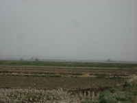 IMG_0987B.JPG
