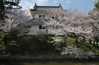 NKN_5669_1024.jpg