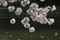 NKN_5630_1024.jpg