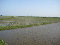 IMG_1037B.JPG