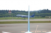 DSC_0257-3.jpg
