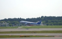 DSC_0258-3.jpg