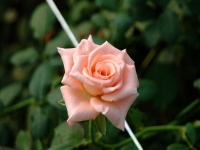20030827 071_R.jpg