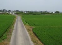 米２９の３IMG_1110B.JPG