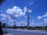 tai001.jpg