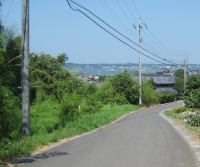 米４の３IMG_1231B.JPG