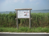 米１７IMG_1224B.JPG