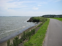 米１７IMG_1136B.JPG