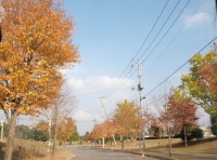 PB085802-32.jpg