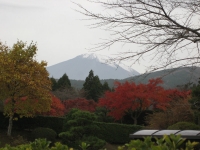 IMG_1583B.JPG