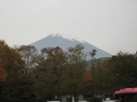 IMG_1588B.JPG