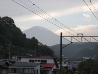 IMG_1600B.JPG