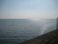 IMG_1786B.JPG