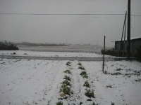 IMG_1913B.JPG